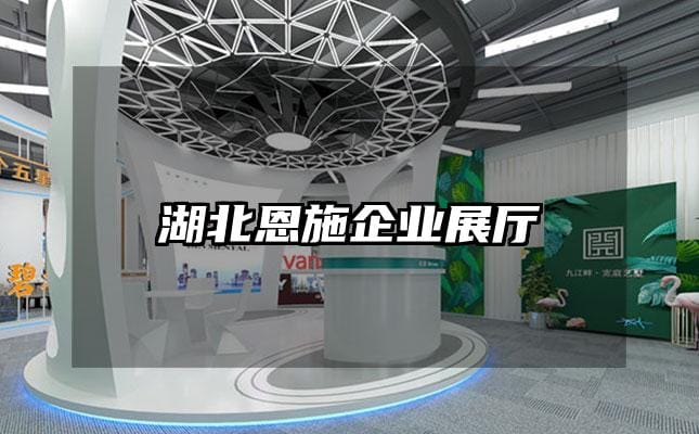 湖北恩施企業(yè)展廳