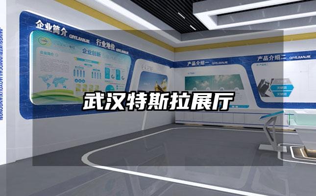 武漢特斯拉展廳