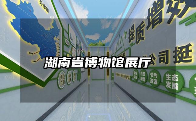 湖南省博物館展廳