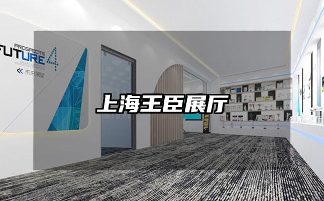 上海王臣展廳