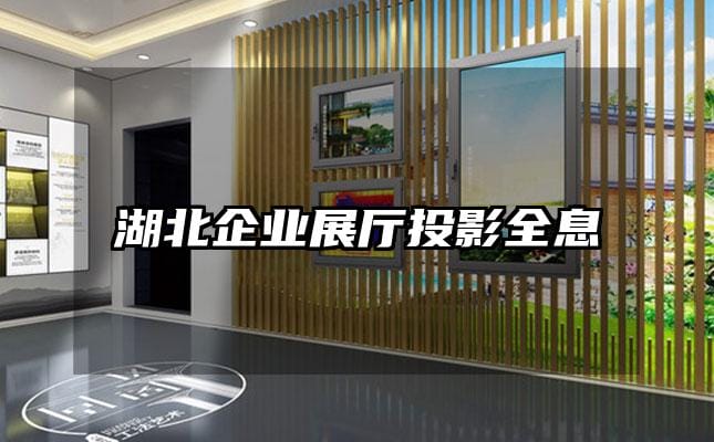 湖北企業(yè)展廳投影全息