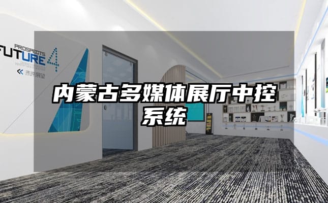 內蒙古多媒體展廳中控系統