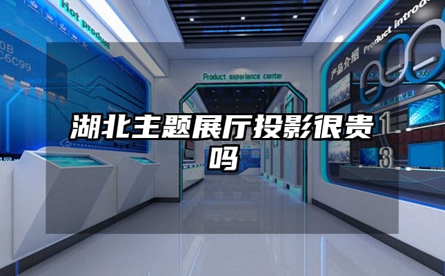 湖北主題展廳投影很貴嗎