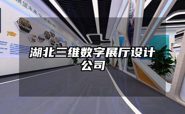 湖北三維數字展廳設計公司