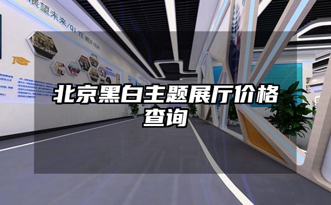 北京黑白主題展廳價格查詢